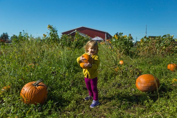 Best Pumpkin Patches In The Country
