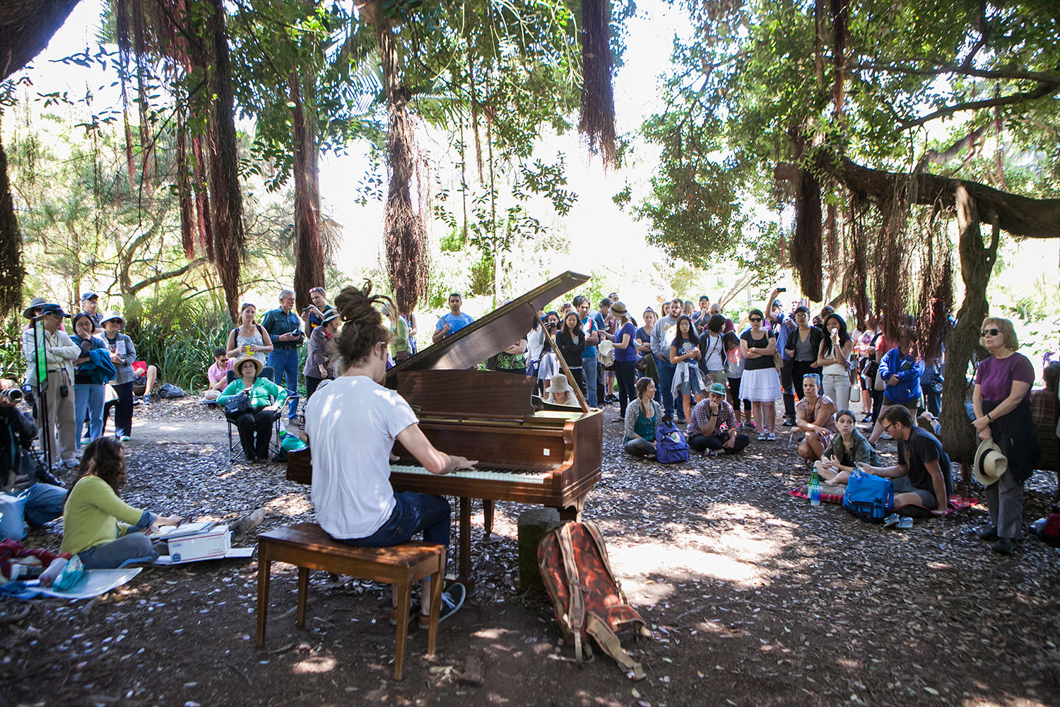 Flower Piano at the SF Botanical Garden Is Back!