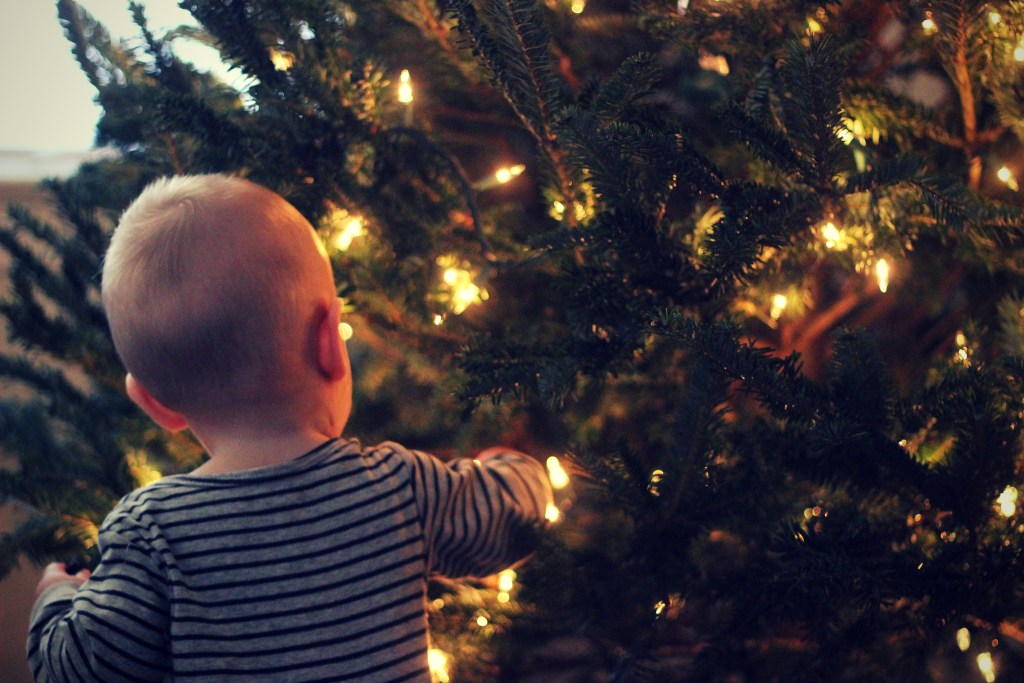 The 411 On Where How To Recycle Your Christmas Tree Lights