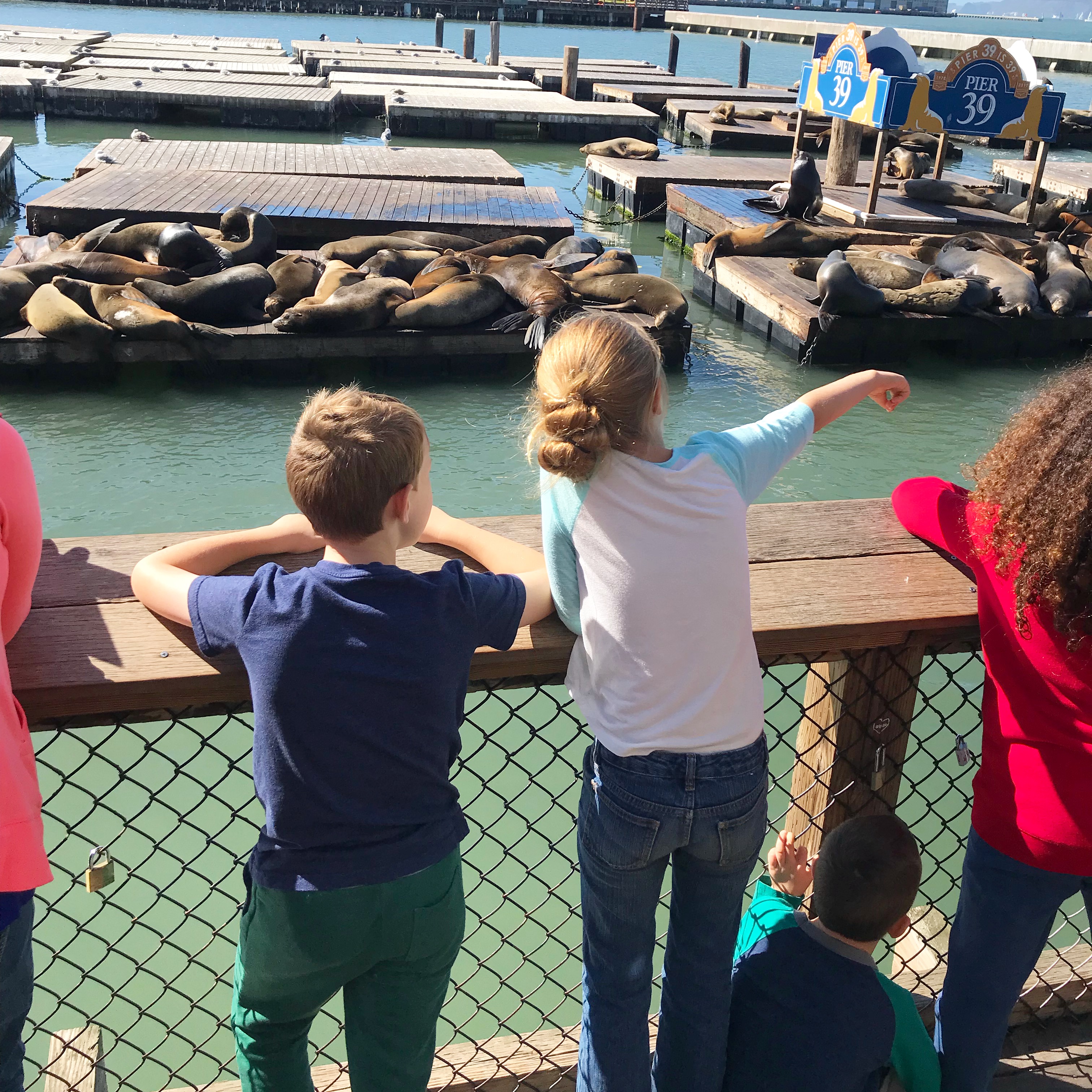 101 Things To Do With Kids in San Francisco Bay Area Near ...