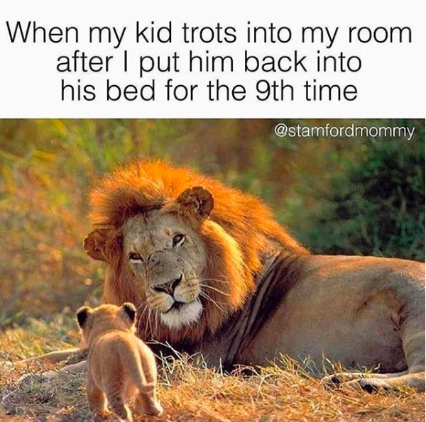 72 Funny Mom Memes