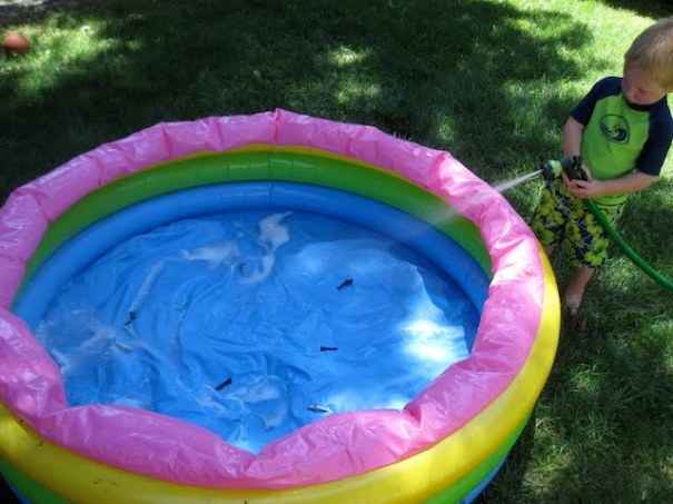 31 Ideas To Help You Throw An Epic Pool Party