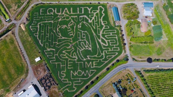Epic Corn Mazes Across The Country