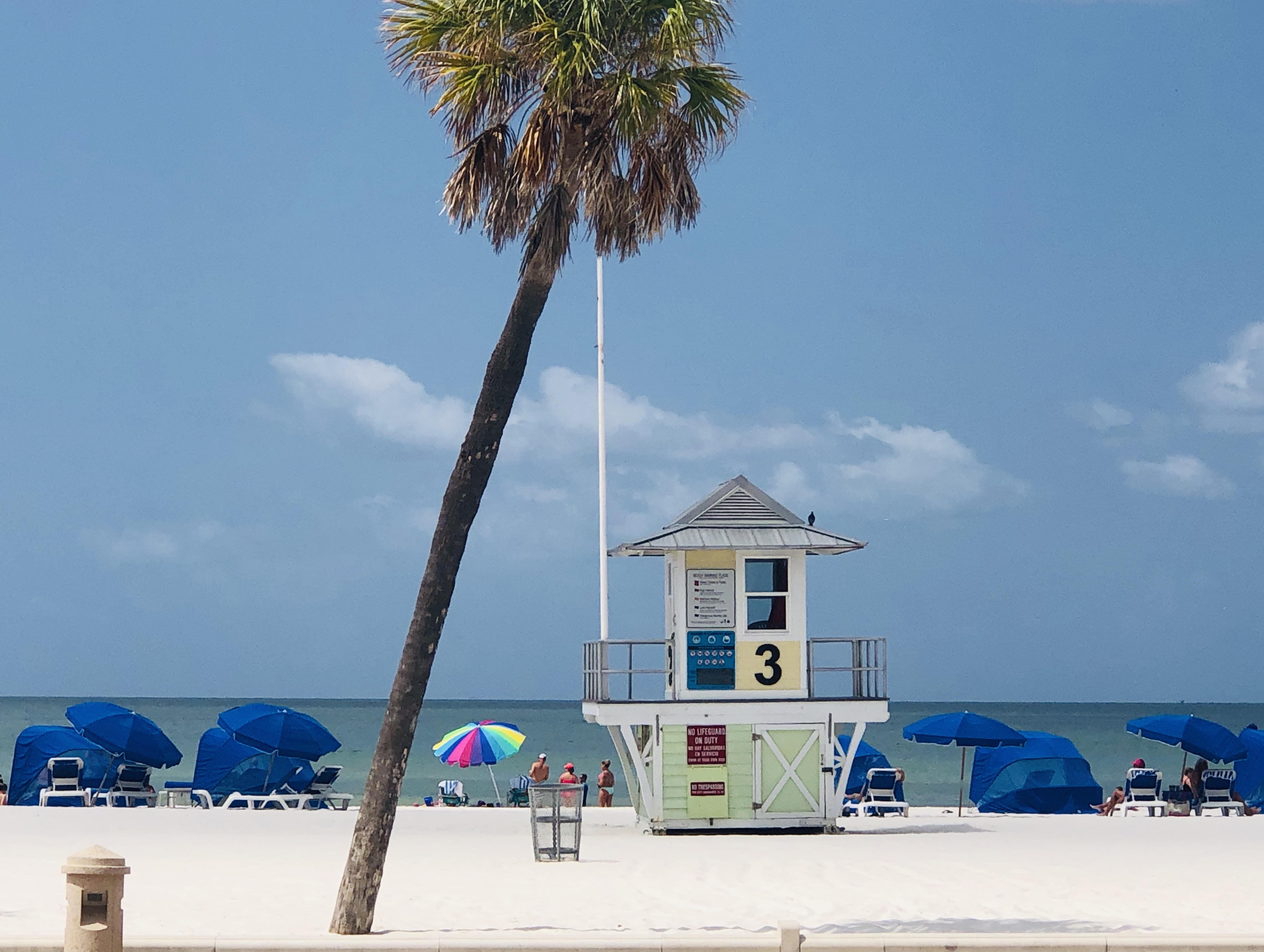 Clearwater Beach Florida Things To Do With Kids