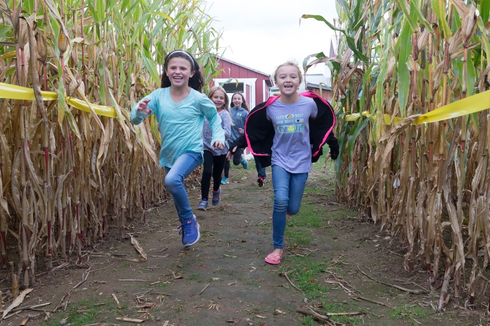 The 7 BEST Corn Mazes to Get Lost In