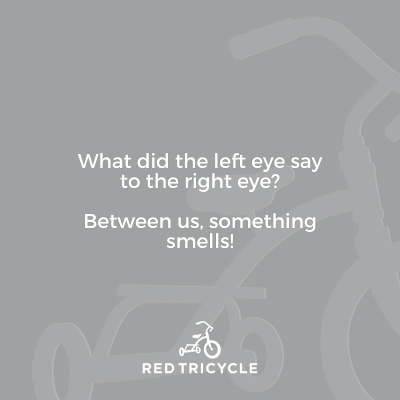 What did the left eye say to the right eye? Between us, something smells! jokes for kids