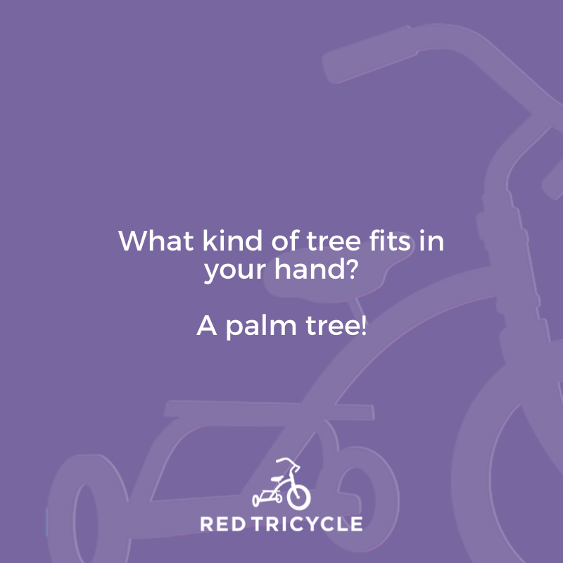 What kind of tree fits in your hand? A palm tree! funny jokes for kids