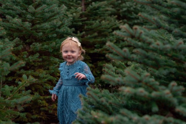 Oh Christmas Tree! 9 Places to Cut-Your-Own Tree This Season