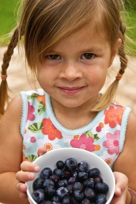 Fill Your Bucket: 11 Organic Farms for U-Pick Blueberries