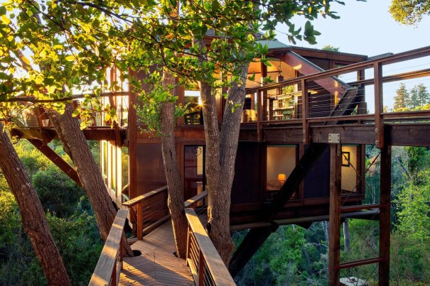 airbnb treehouse rentals aptos cruz airbnbs treehouses peaceful glamping honeymoon logement