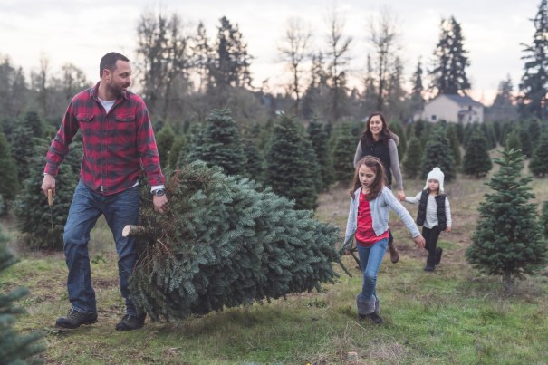 How much is a christmas tree at a tree farm From Tree Farms To Lots Where To Buy Your Christmas Tree In Phoenix