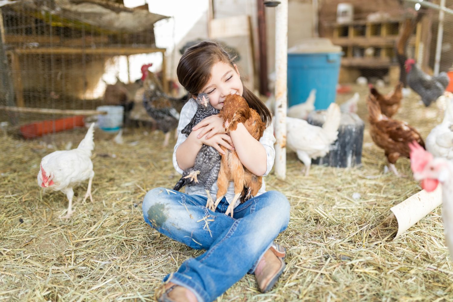 26 Farm Stays Every Family Should Experience